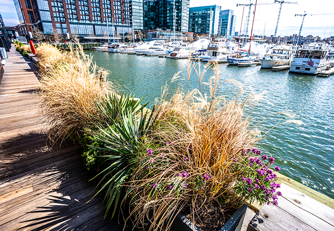 Wharf dock